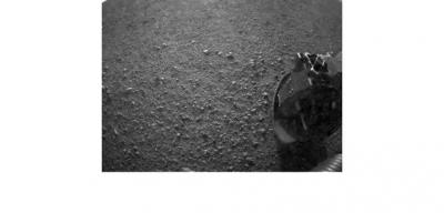 Прикрепленное изображение: 215413_396464403736874_1872615839_n.jpg